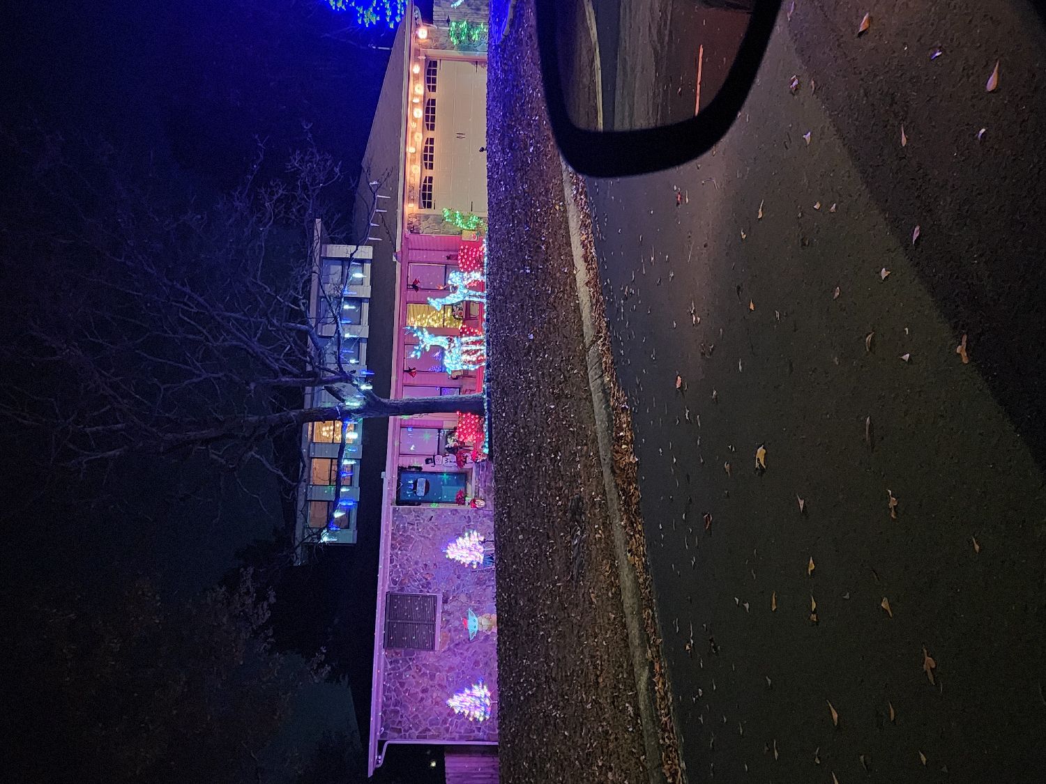 Happy holidays, Christmas lights in Warner Robins, GA (photo 1)