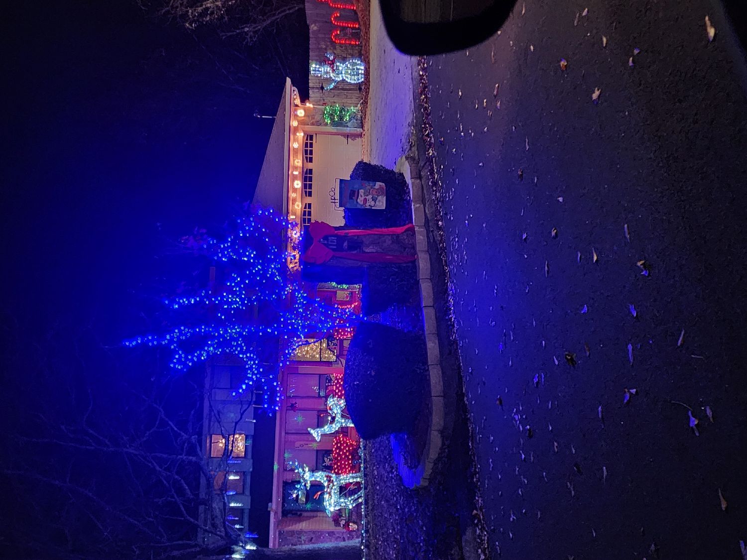 Happy holidays, Christmas lights in Warner Robins, GA (photo 2)