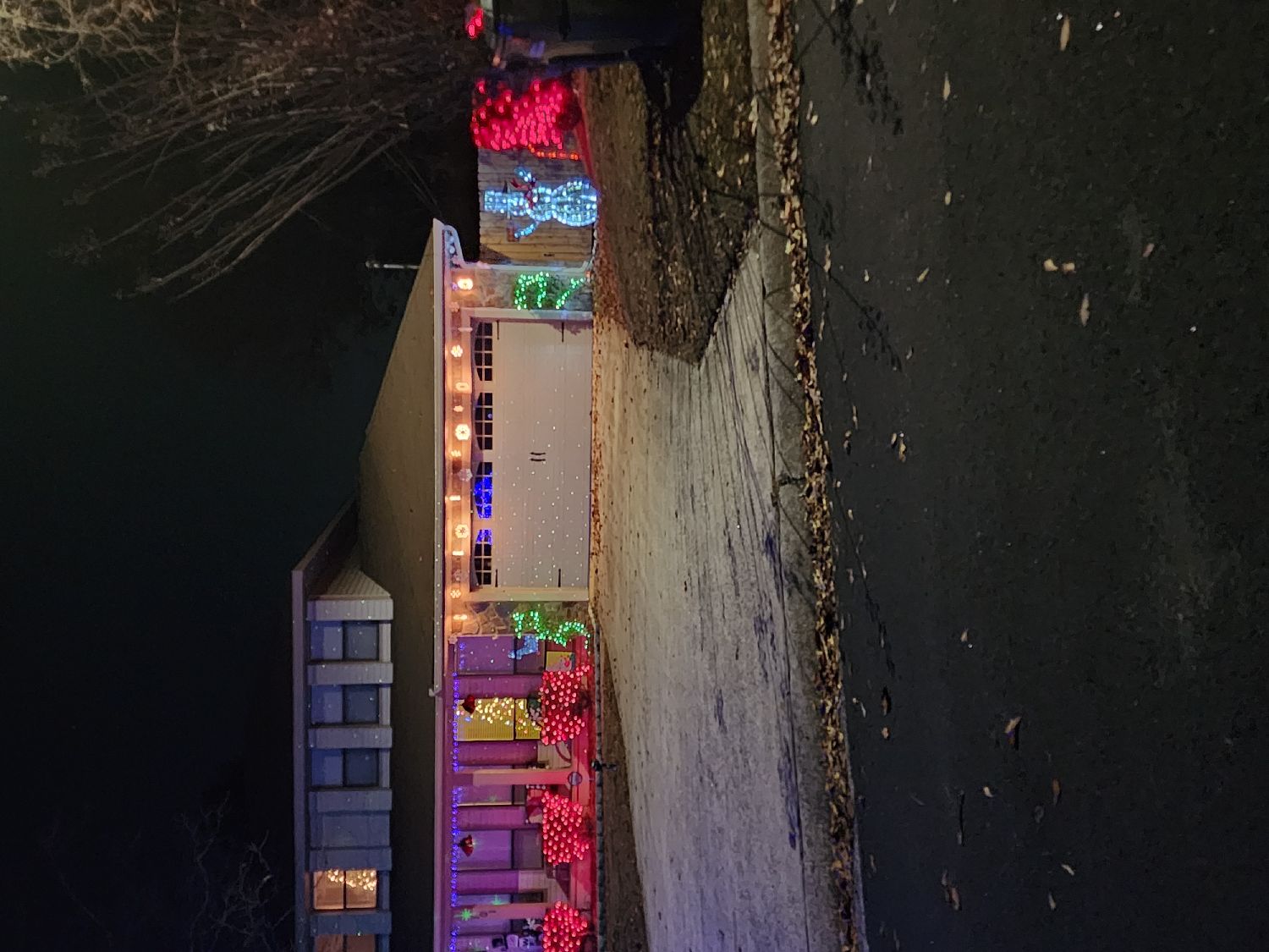 Happy holidays, Christmas lights in Warner Robins, GA (photo 3)