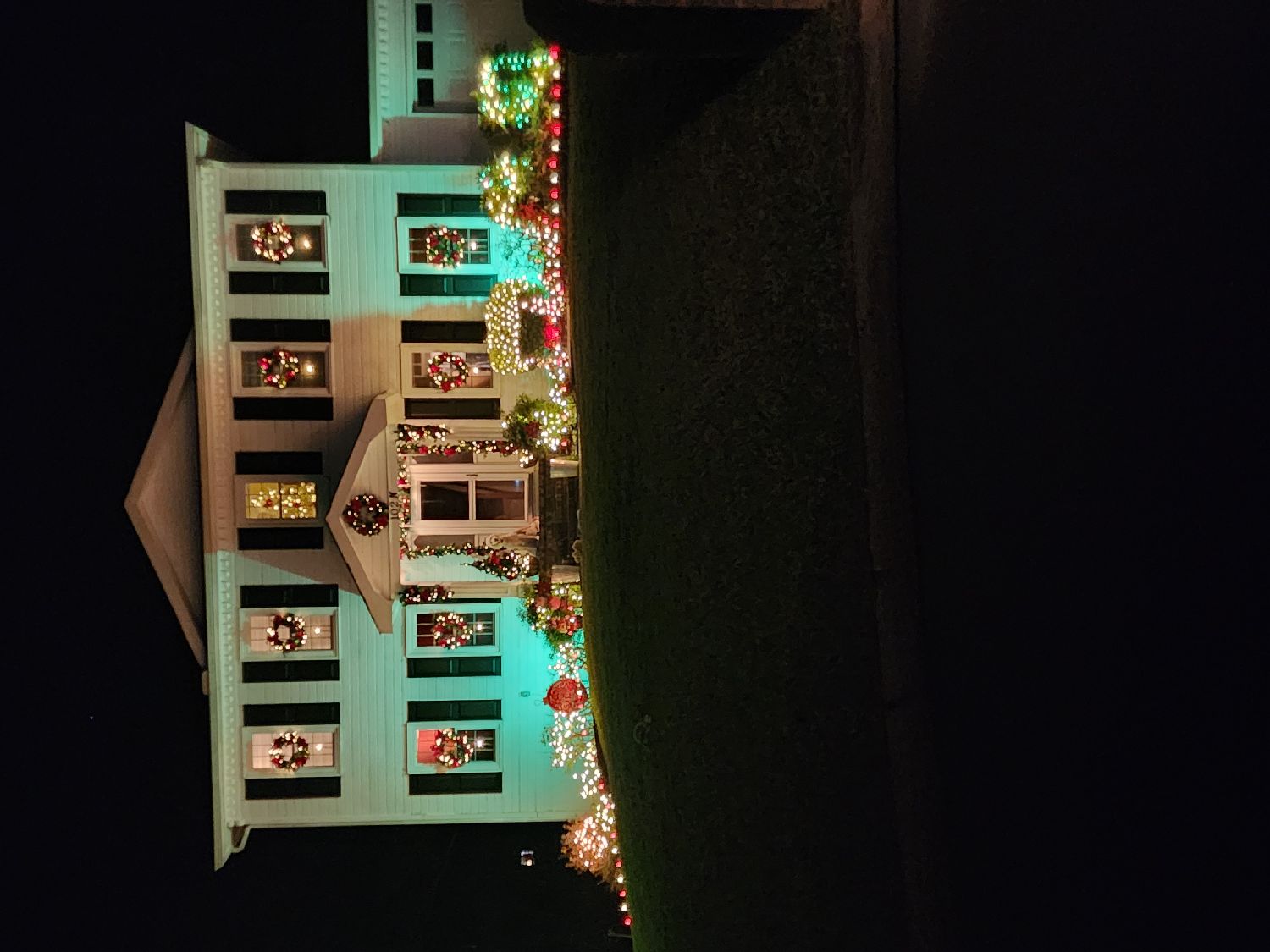 Nice display, Christmas lights in Warner Robins, GA (photo 1)