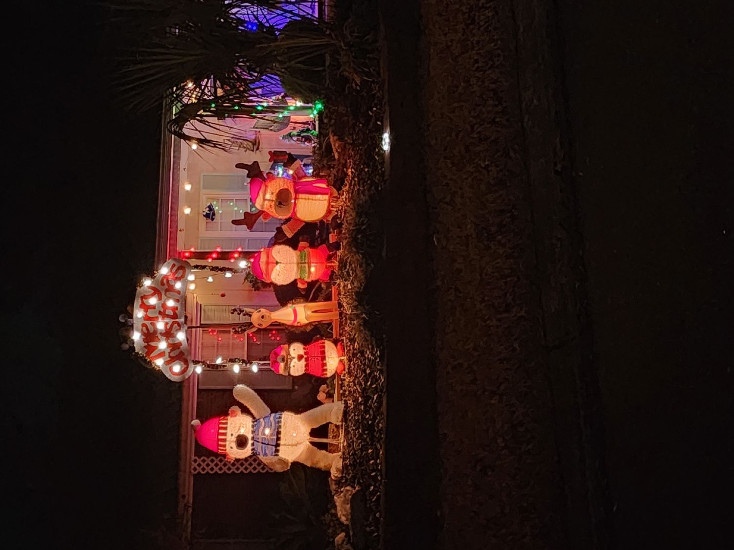 Happy holidays, Christmas lights in Warner Robins, GA (photo 2)