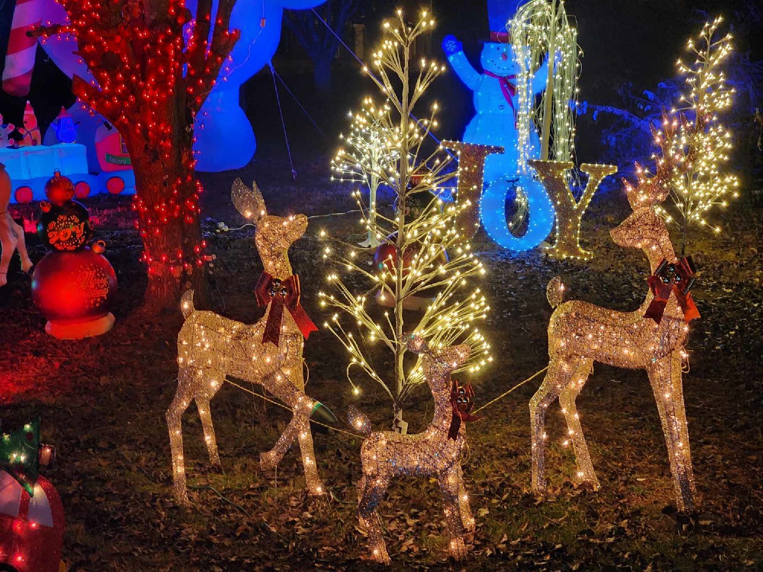Munseys christmas light show, Christmas lights in Caryville, TN (photo 2)
