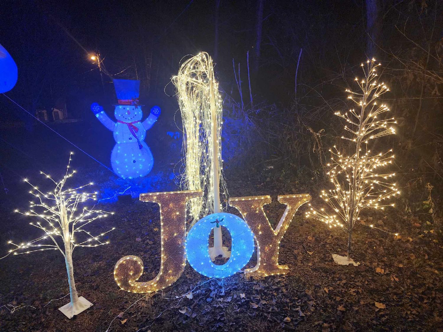 Munseys christmas light show, Christmas lights in Caryville, TN (photo 5)