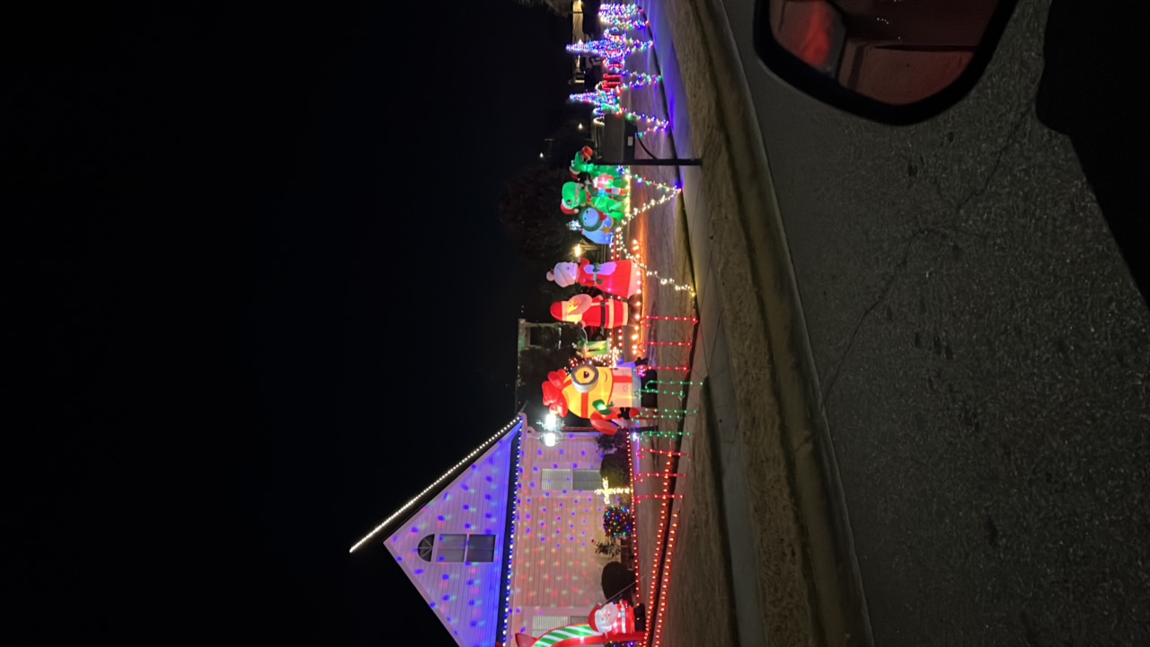 Minion Christmas house, Christmas lights in Warner Robins, GA (photo 1)