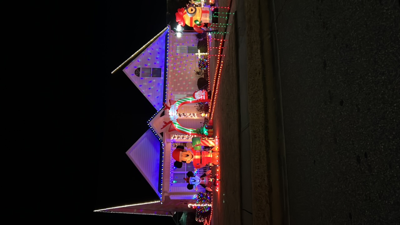 Minion Christmas house, Christmas lights in Warner Robins, GA (photo 2)