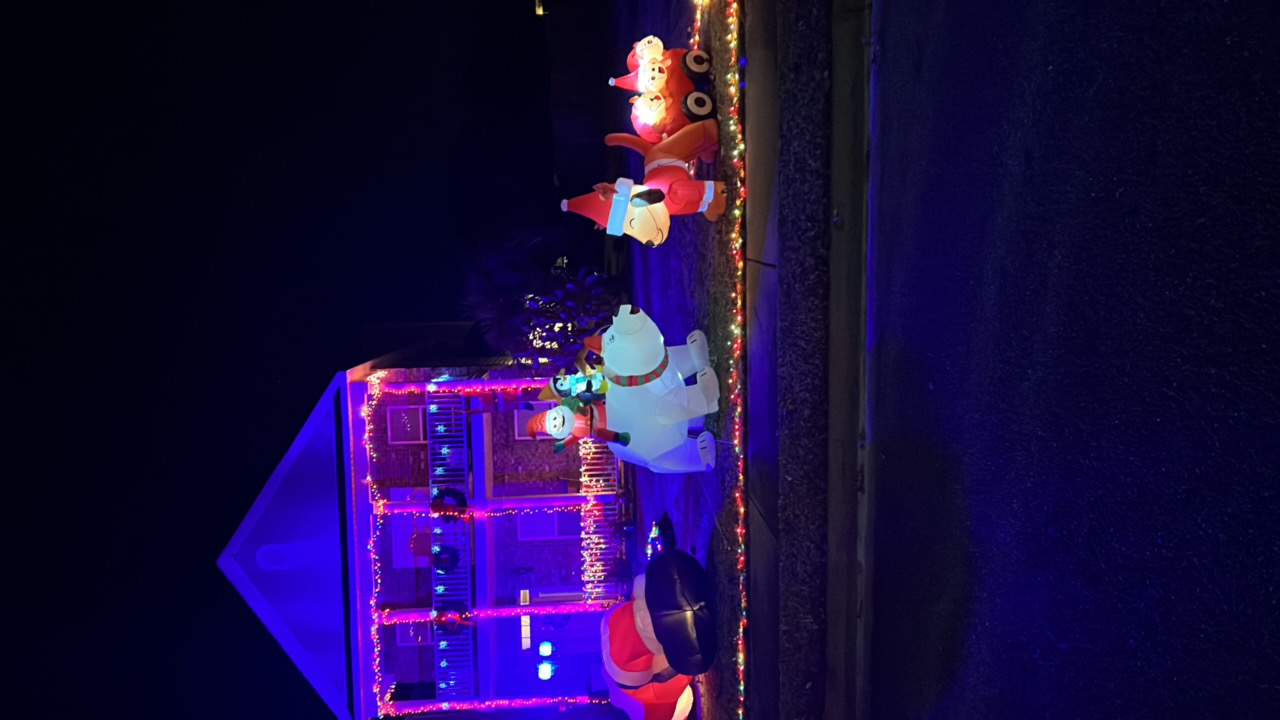 Inflatables!, Christmas lights in Warner Robins, GA (photo 1)