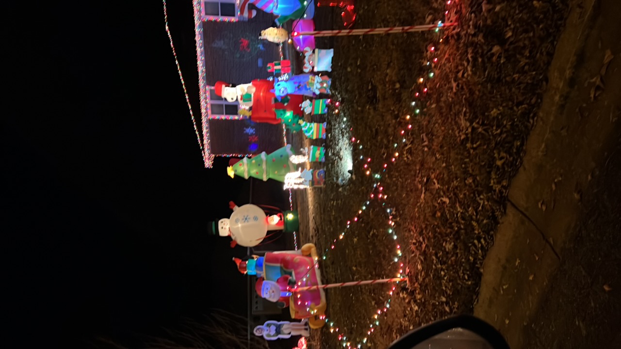 Ugly sweater contest, Christmas lights in Warner Robins, GA (photo 2)