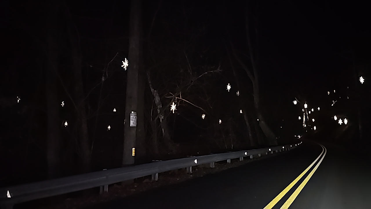 Stars in the woods, Christmas lights in Landenberg, PA (photo 1)