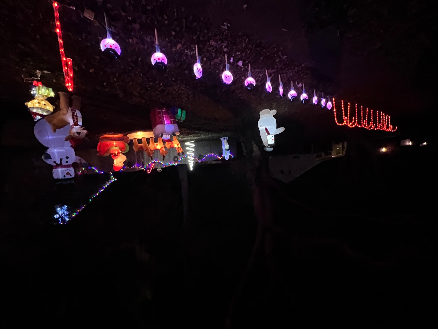 The Fitz’s Candy Cane Lane, Christmas lights in Wilmington, DE (photo 5)