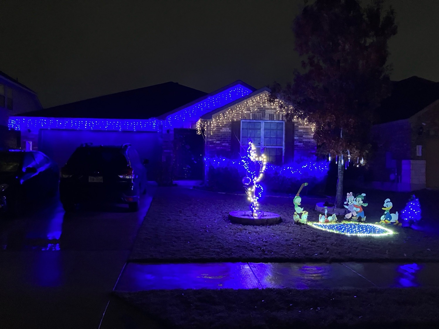Traditional, Christmas lights in Round Rock, TX (photo 1)