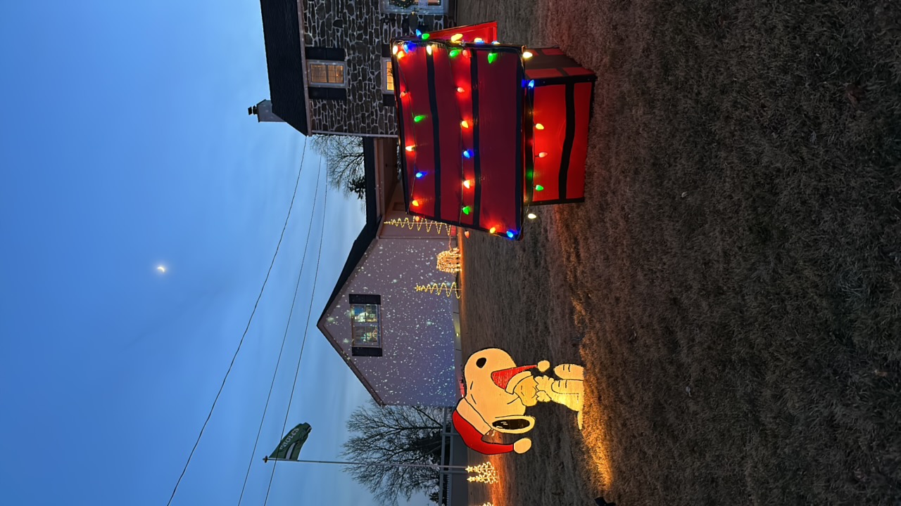 Snow show, Christmas lights in Springfield, PA (photo 5)