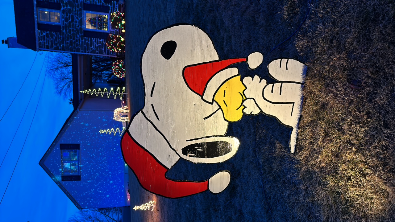 Snow show, Christmas lights in Springfield, PA (photo 1)
