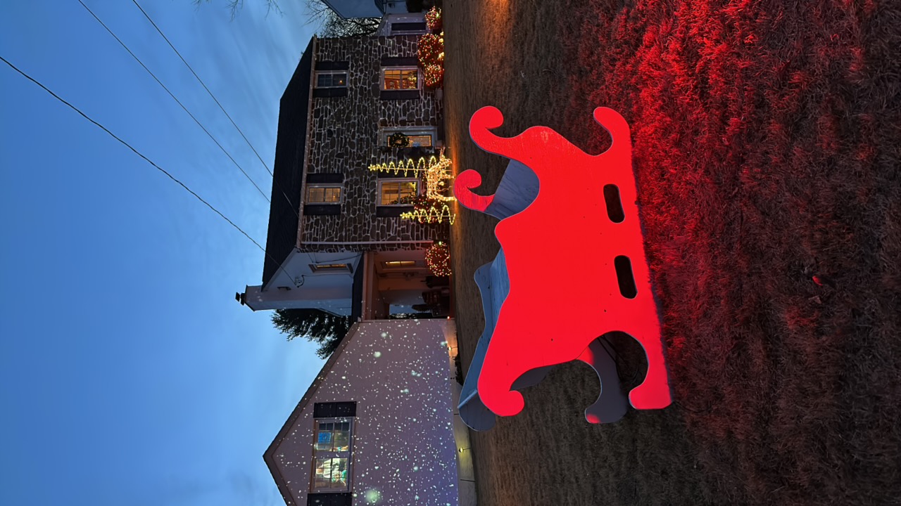 Snow show, Christmas lights in Springfield, PA (photo 2)