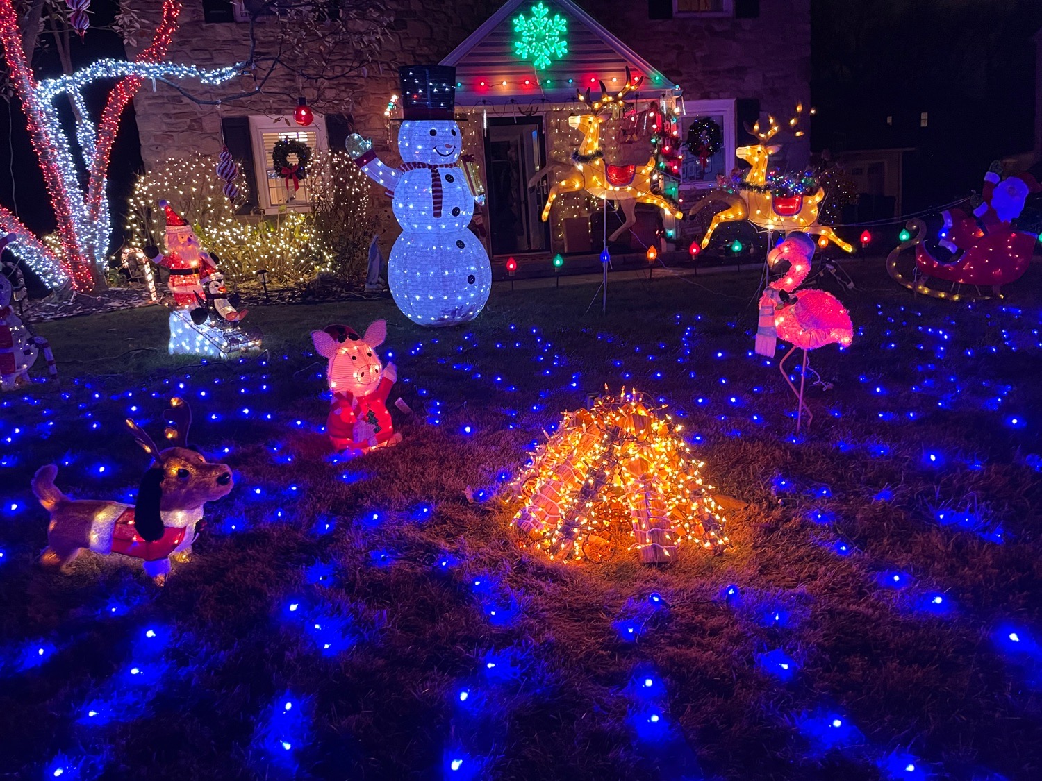 Lit up, Christmas lights in Abington, PA (photo 1)