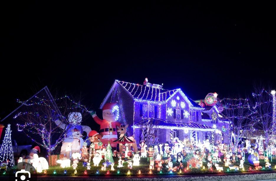Gray Eagle, Christmas lights in Knoxville, TN (photo 3)