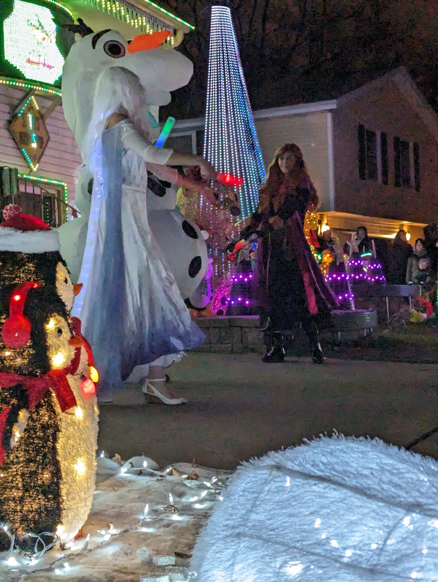 Boxwood Light Show, Christmas lights in Schaumburg, IL (photo 2)