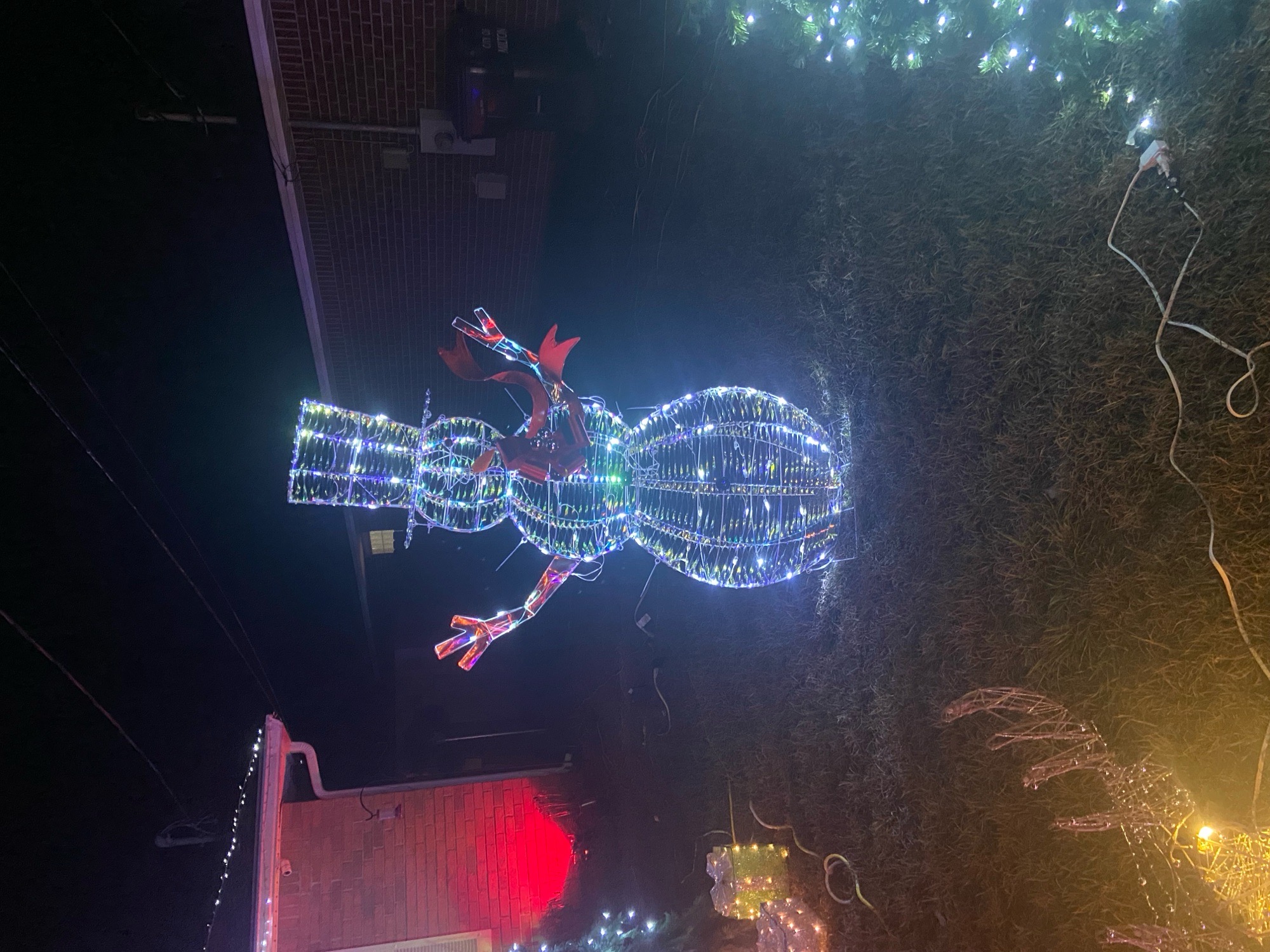 Christmas lights, Christmas lights in Milton, FL (photo 1)
