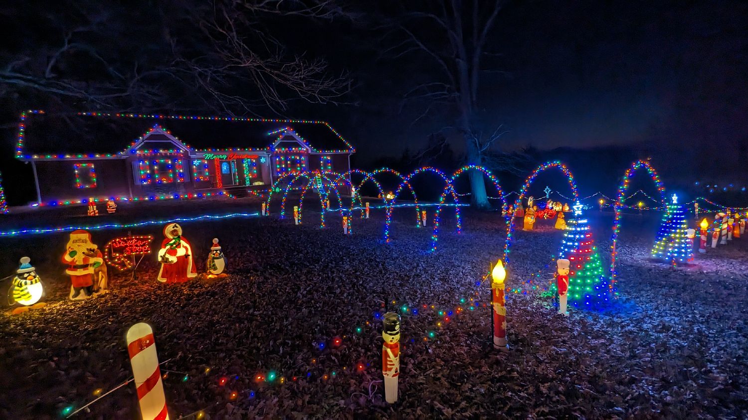 Higgenbottom House, Christmas lights in Baxter, TN (photo 1)