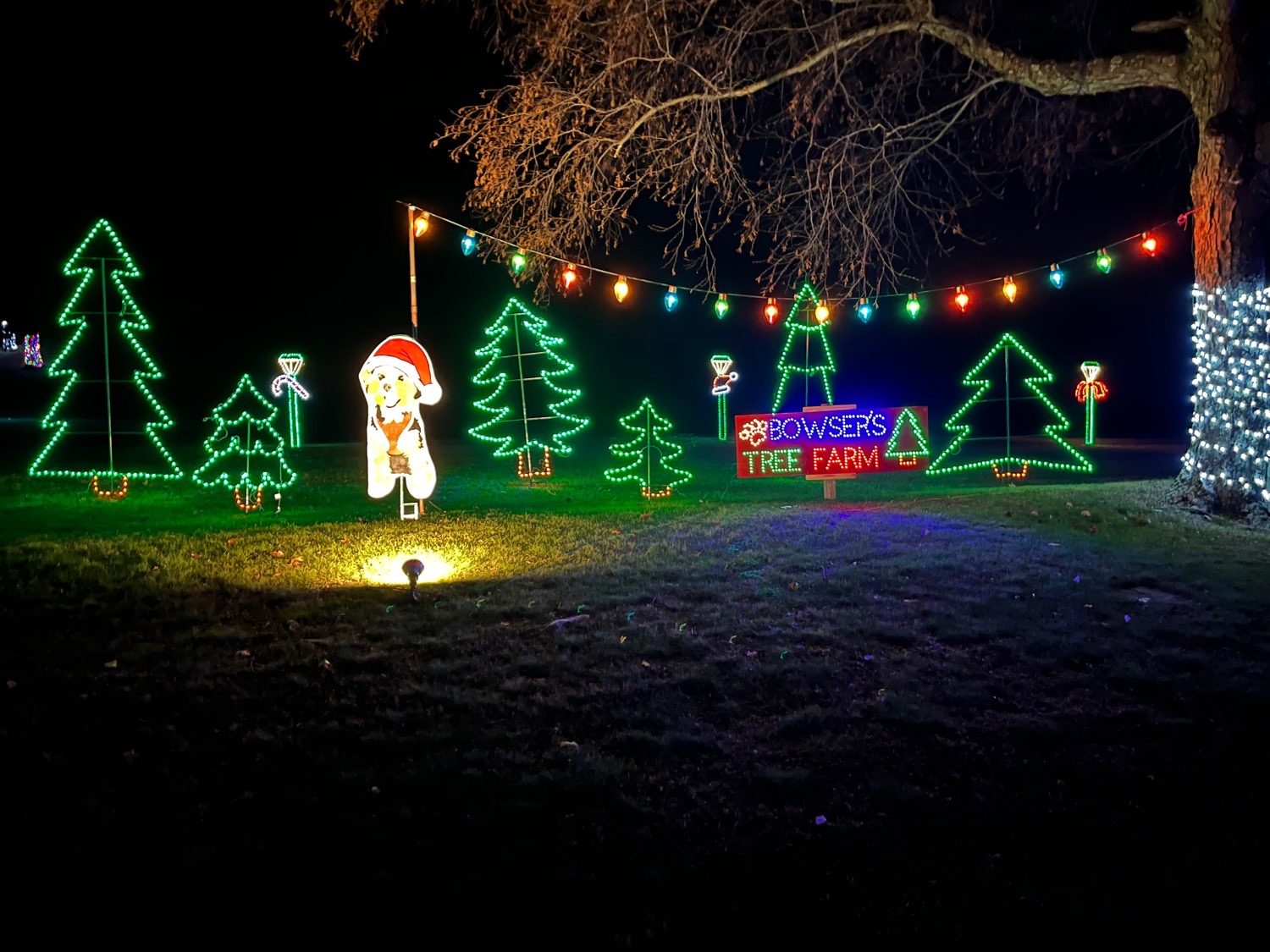 Bunker Hill Christmas, Christmas lights in Wyoming, PA (photo 1)
