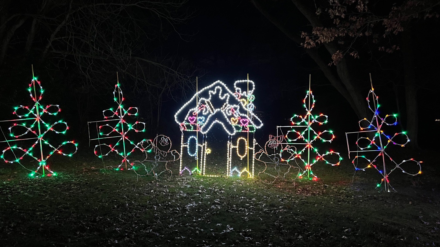 Dogton Abbey, Christmas lights in Jenkintown, PA (photo 5)
