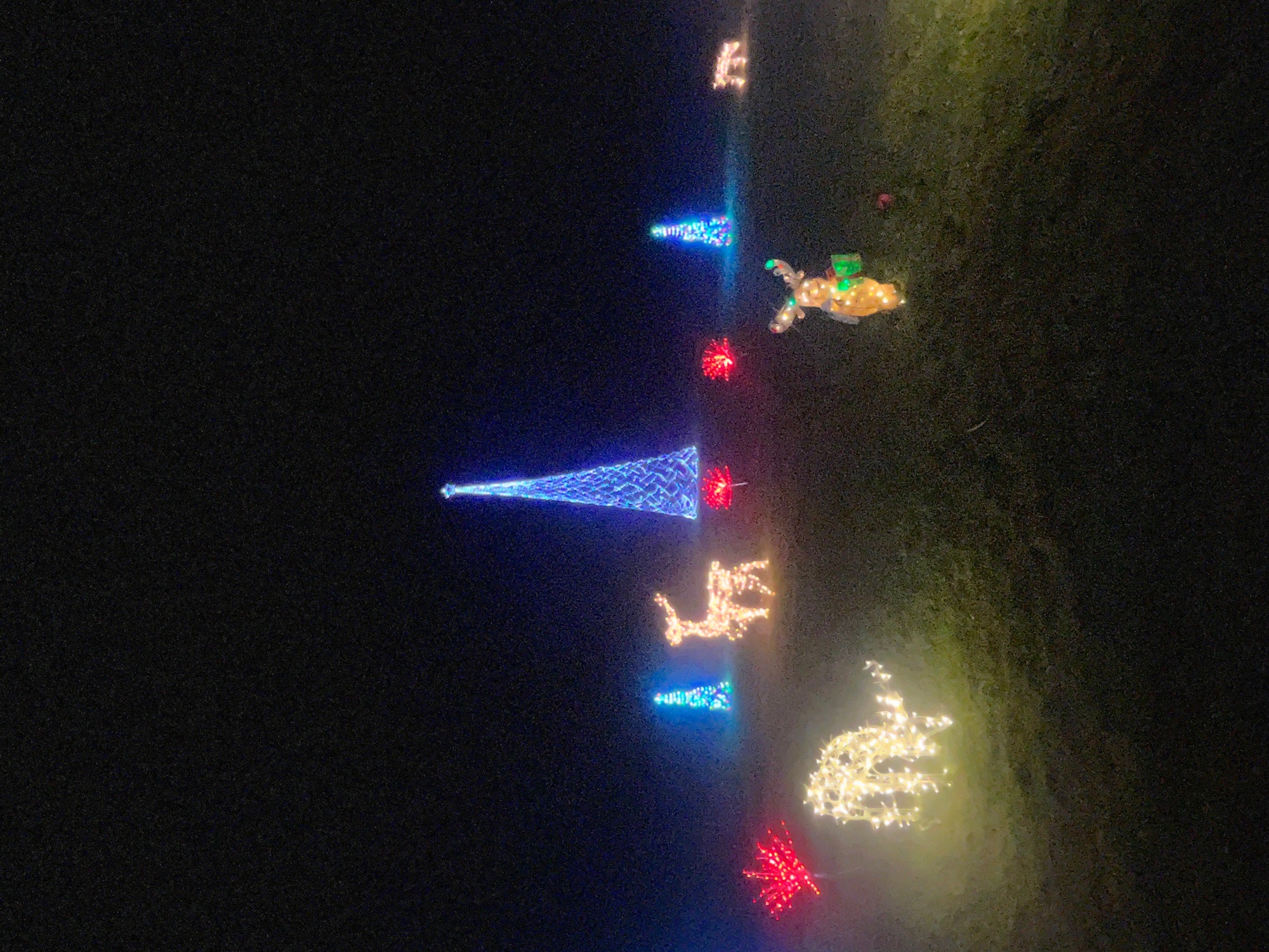 Wells Family Christmas, Christmas lights in Saugerties, NY (photo 4)