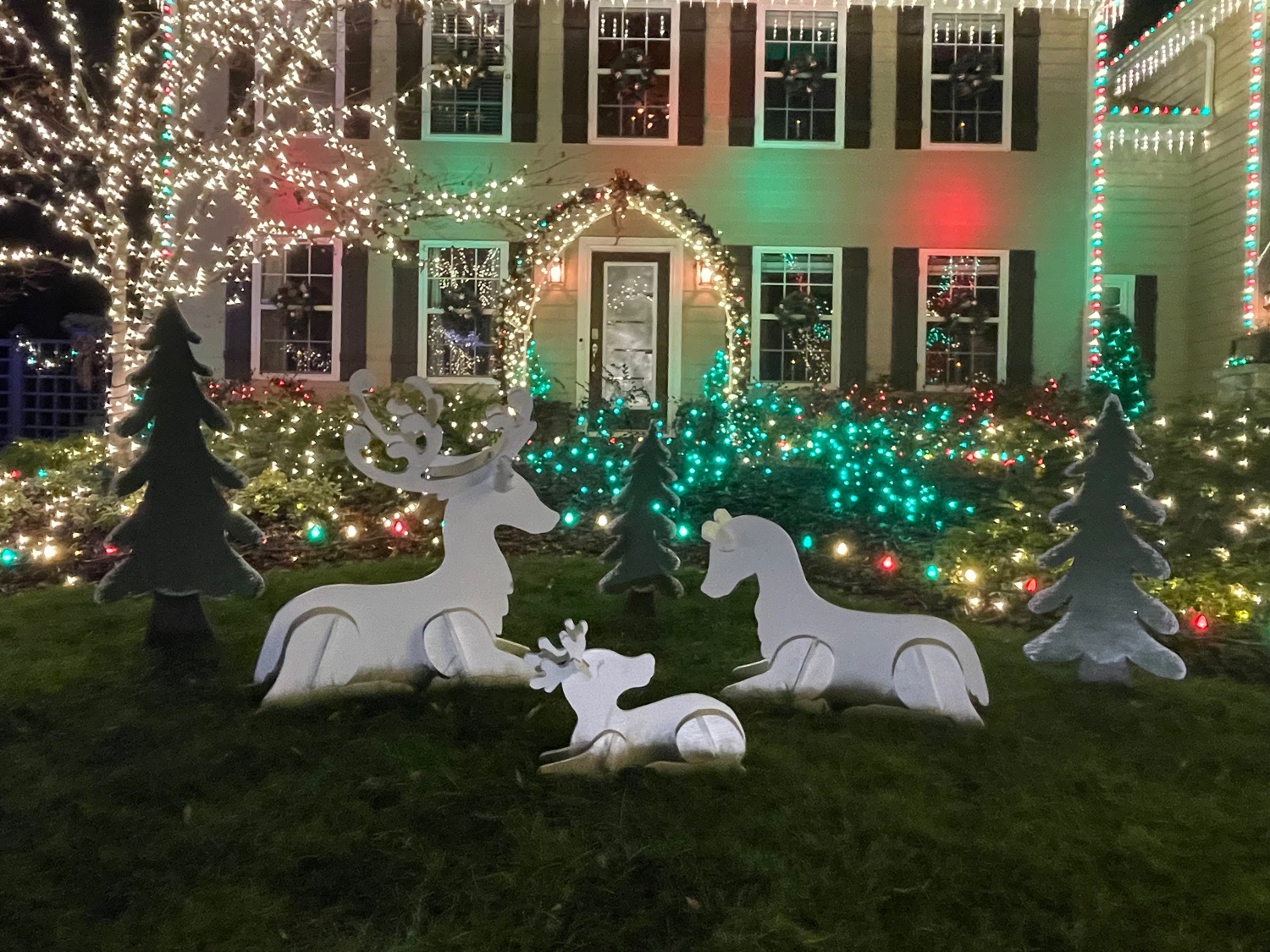 Christmas in the Creek, Christmas lights in Charlotte, NC (photo 1)