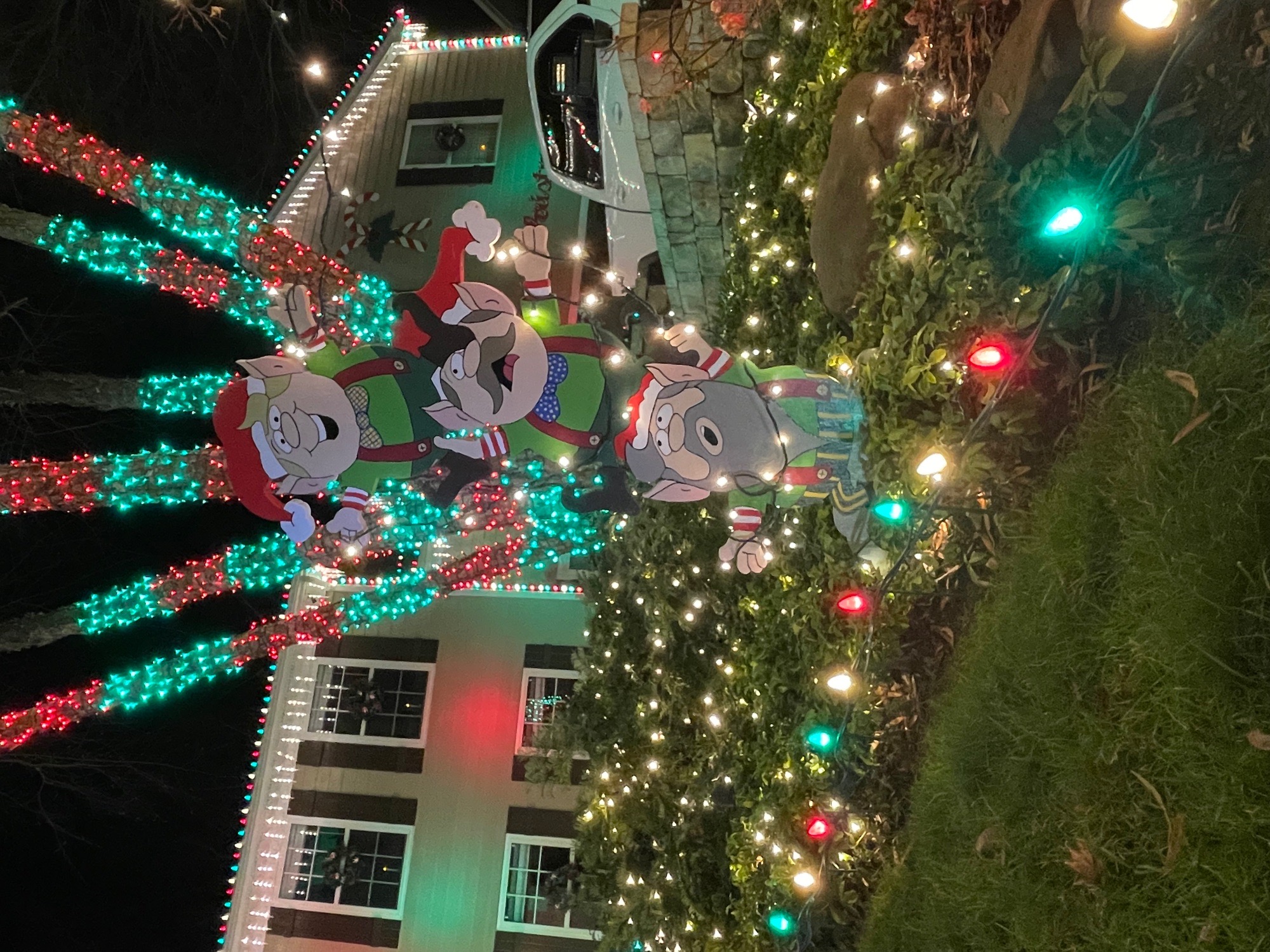 Christmas in the Creek, Christmas lights in Charlotte, NC (photo 3)