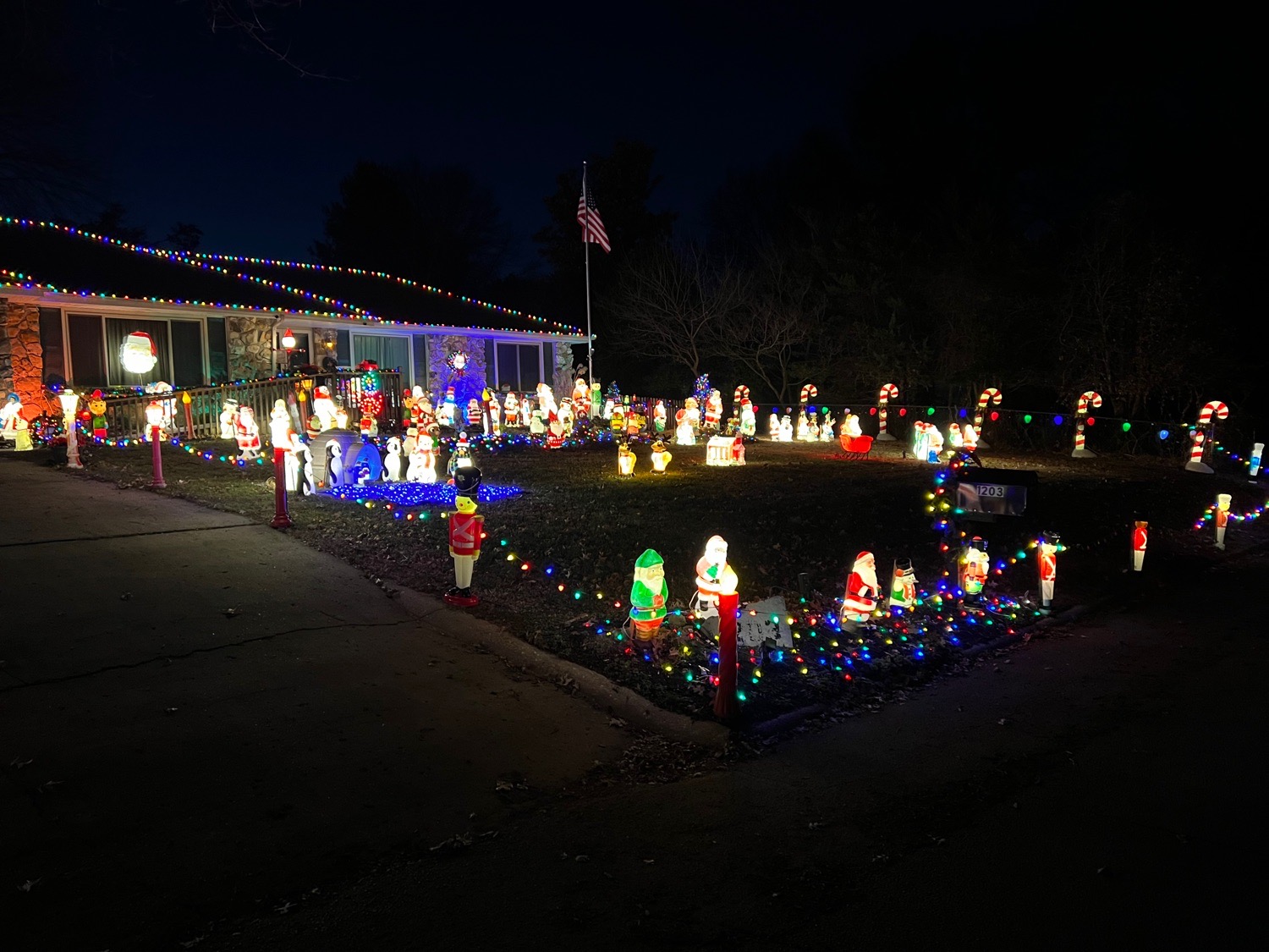 Miller Family Holiday Displays, Christmas lights in Ozark, MO (photo 2)