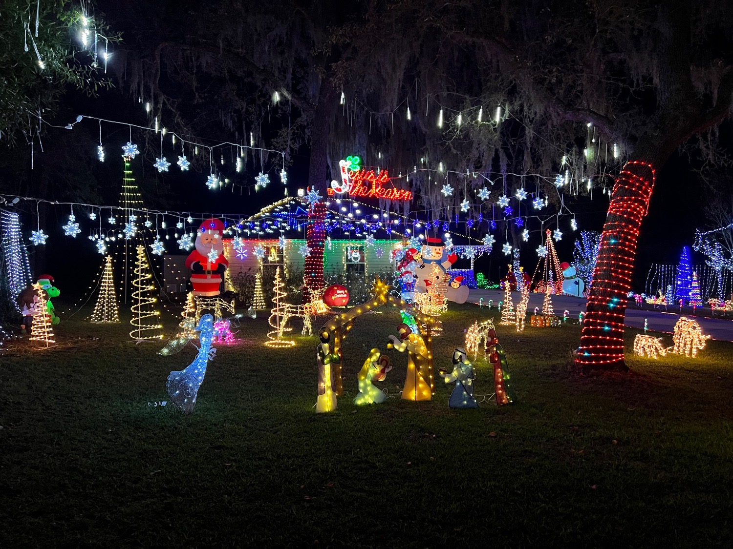 Lights on Delcie, Christmas lights in Saint Augustine, FL (photo 1)