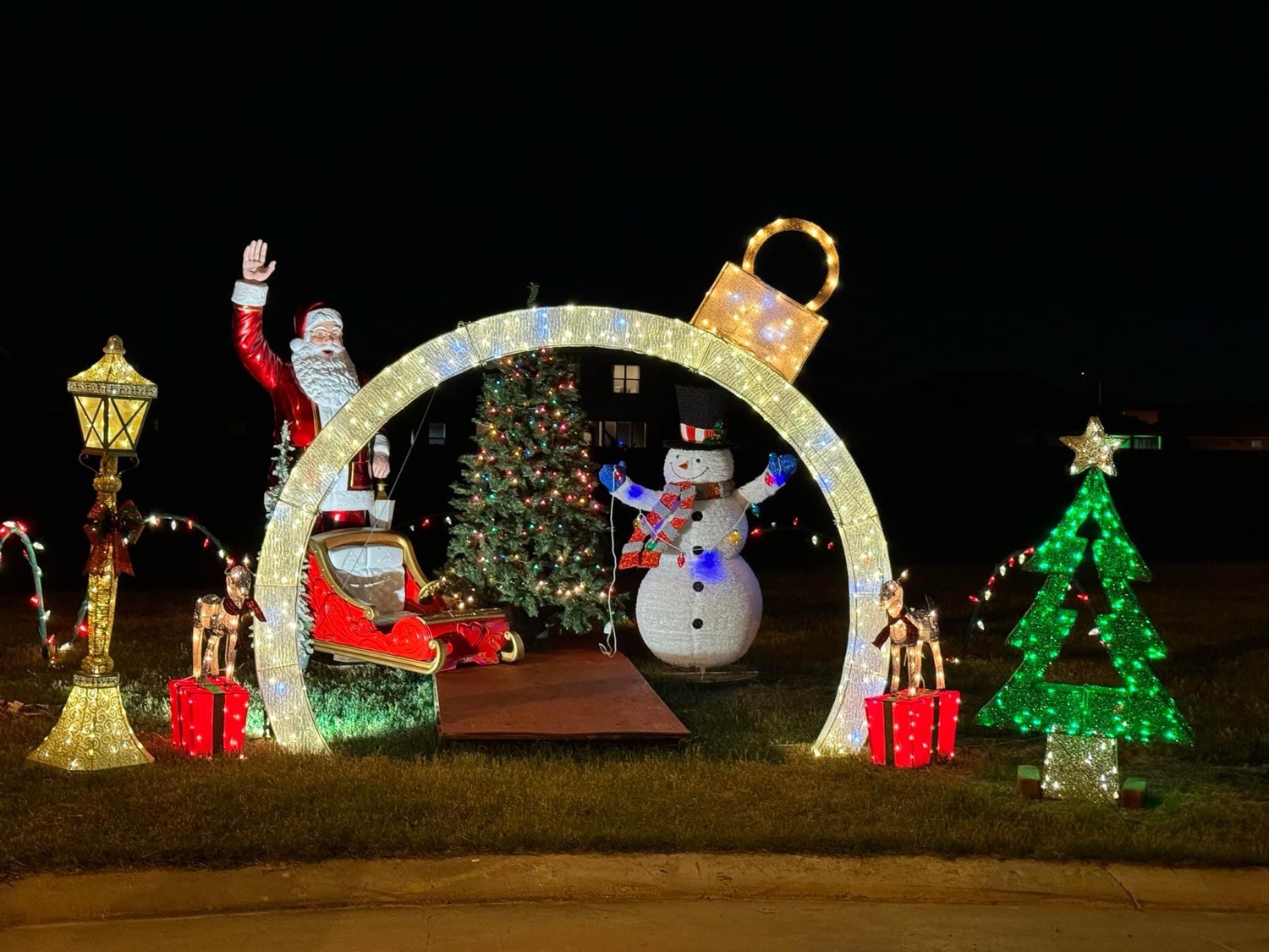 Christmas Lights on Striped Maple, Christmas lights in Tomball, TX (photo 1)
