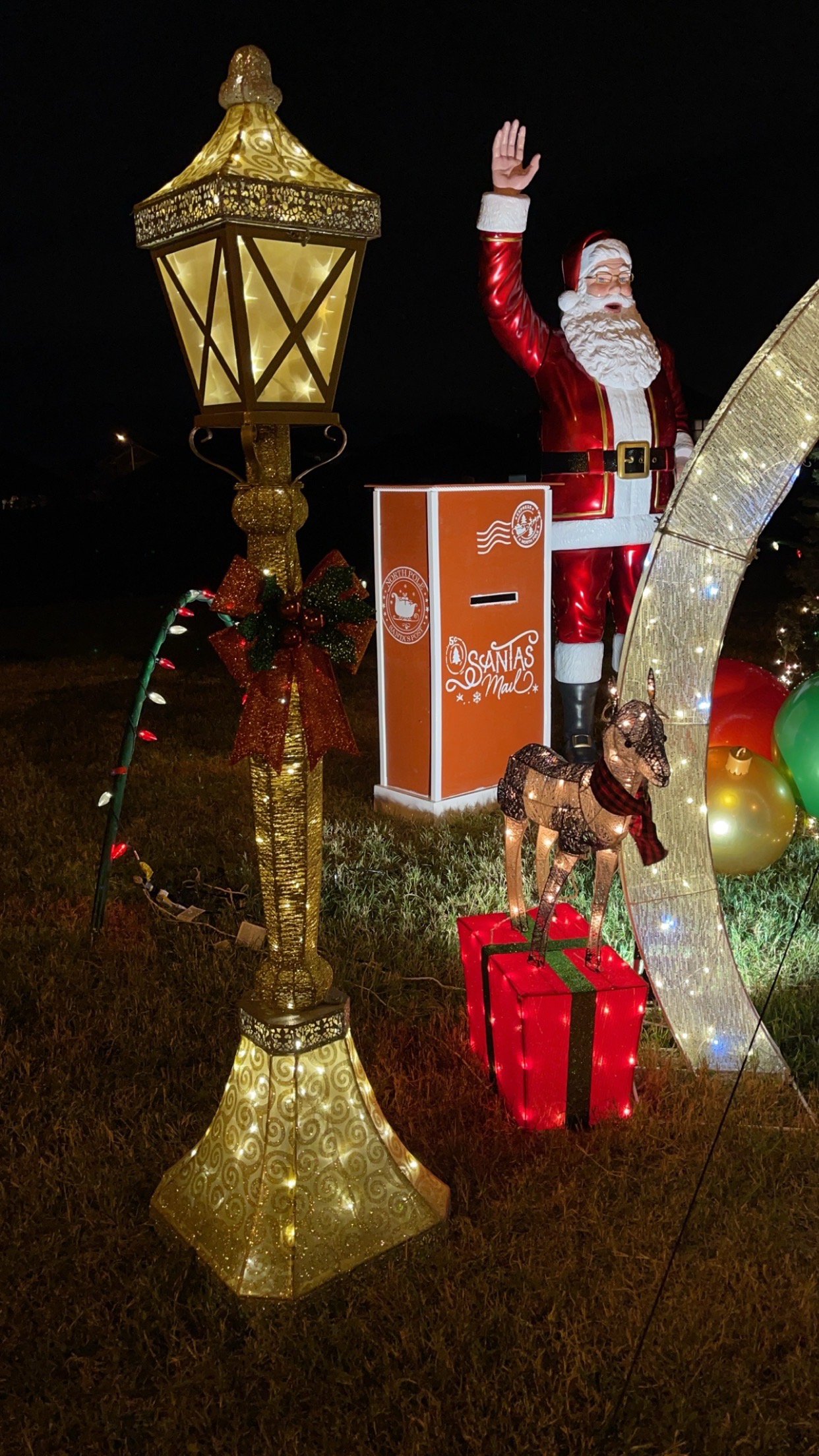 Christmas Lights on Striped Maple, Christmas lights in Tomball, TX (photo 2)