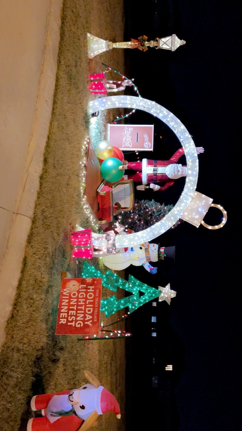 Christmas Lights on Striped Maple, Christmas lights in Tomball, TX (photo 3)