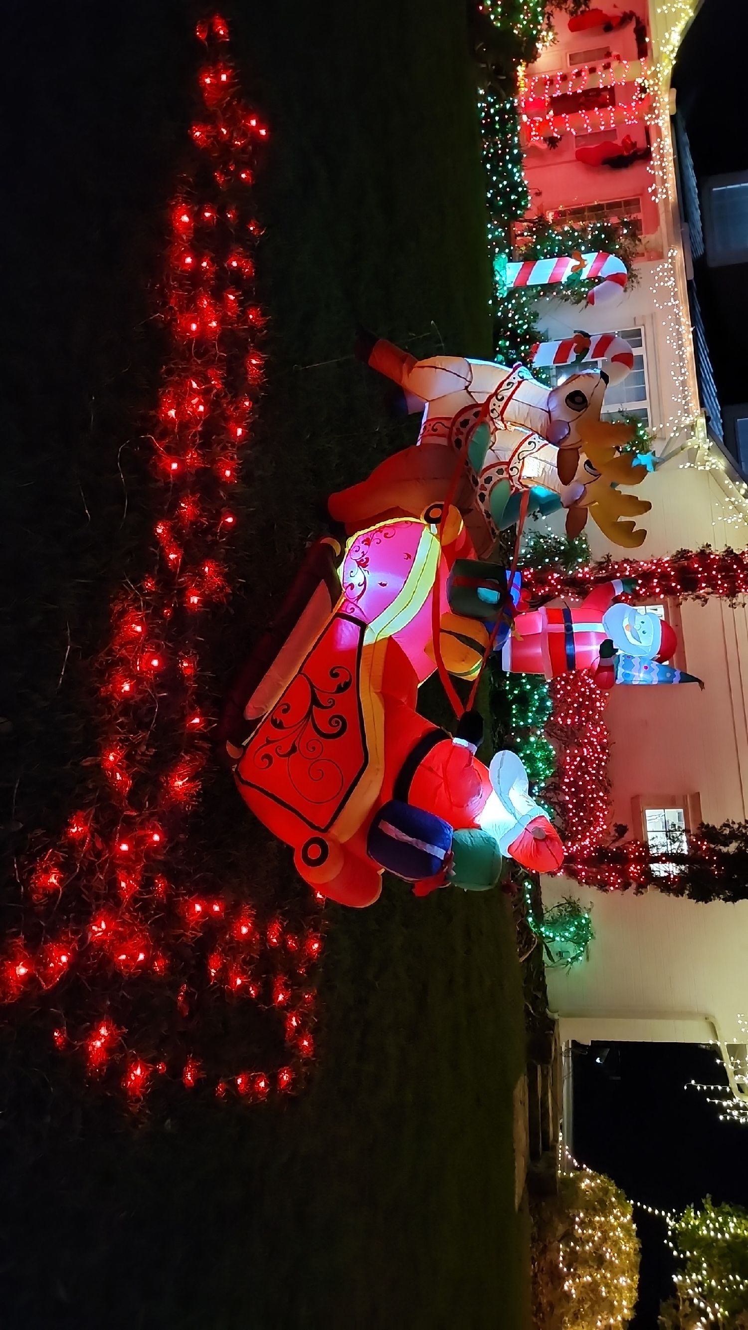 Santa's Lane, Christmas lights in Newberry, FL (photo 5)