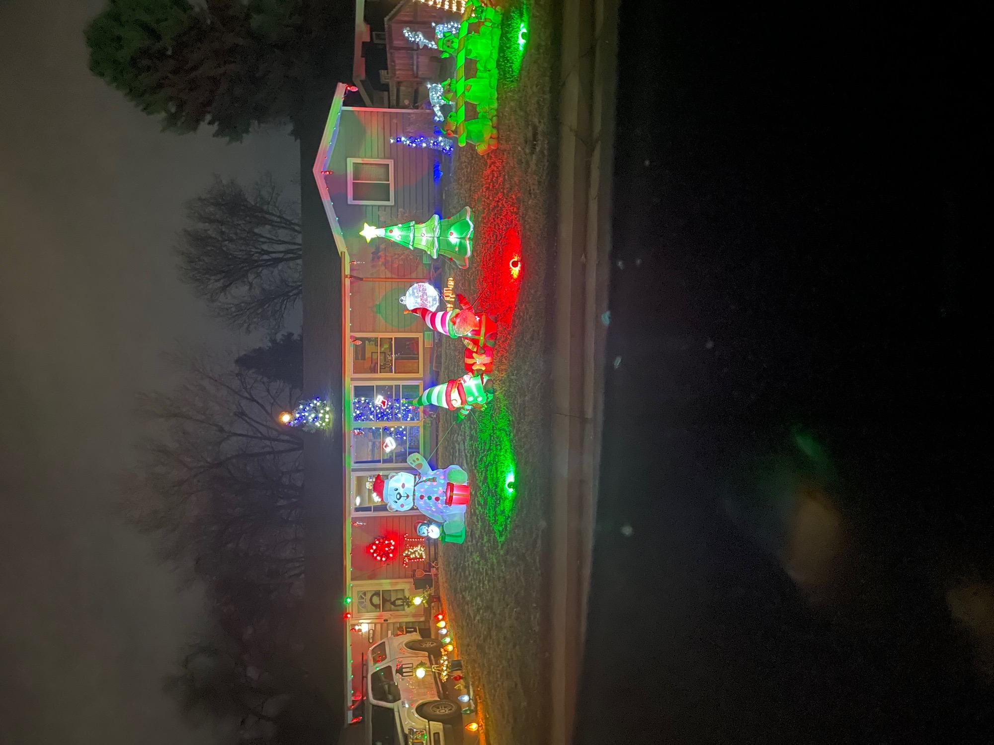 Tree house, Christmas lights in Denver, CO (photo 1)