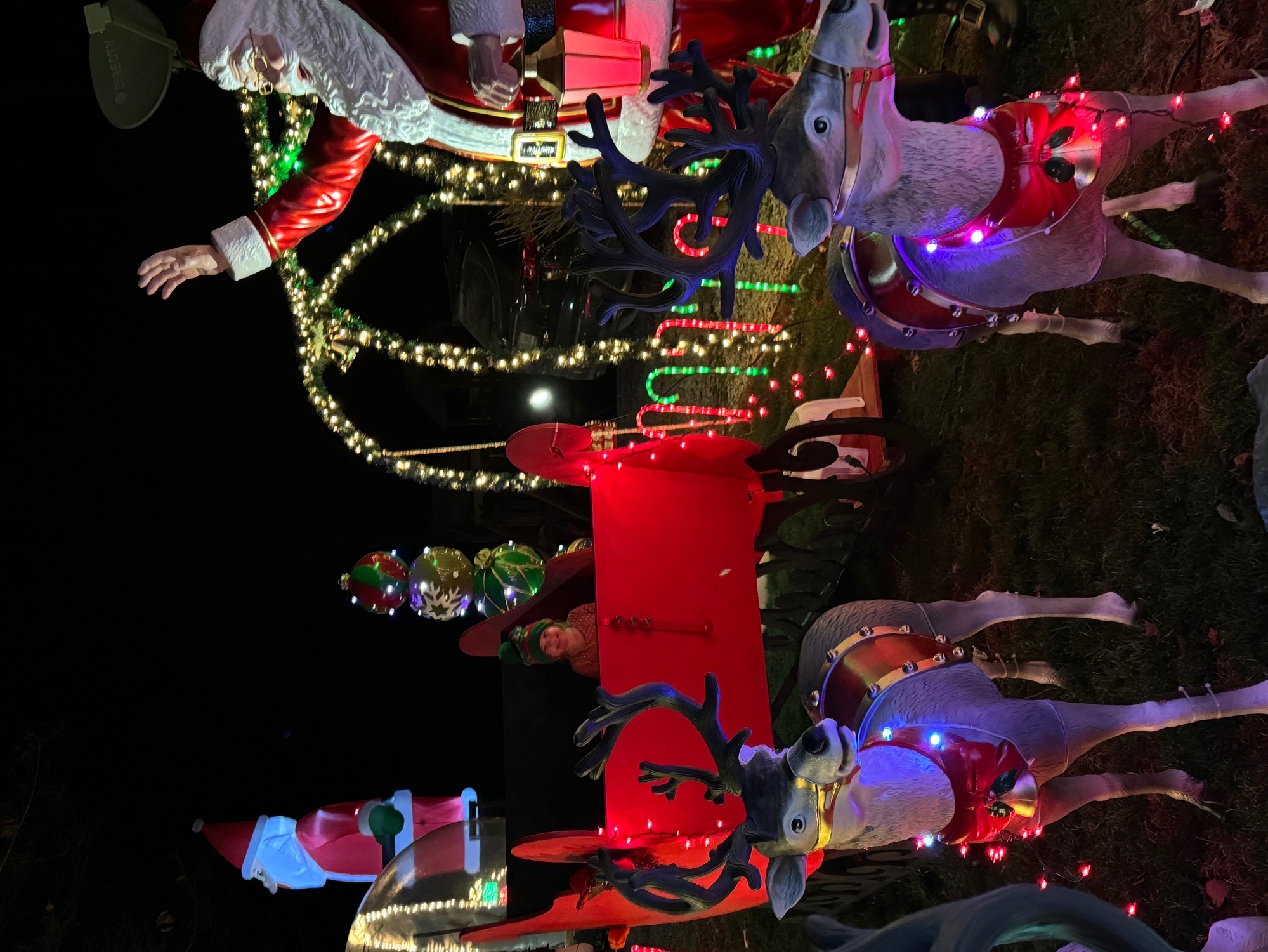 Ryan and Tonya’s lights on copperbranch road, Christmas lights in Solsberry, IN (photo 2)