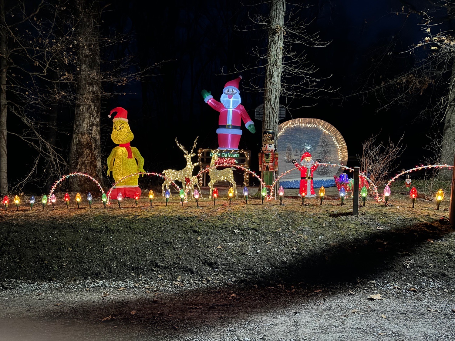 Ryan and Tonya’s lights on copperbranch road, Christmas lights in Solsberry, IN (photo 3)