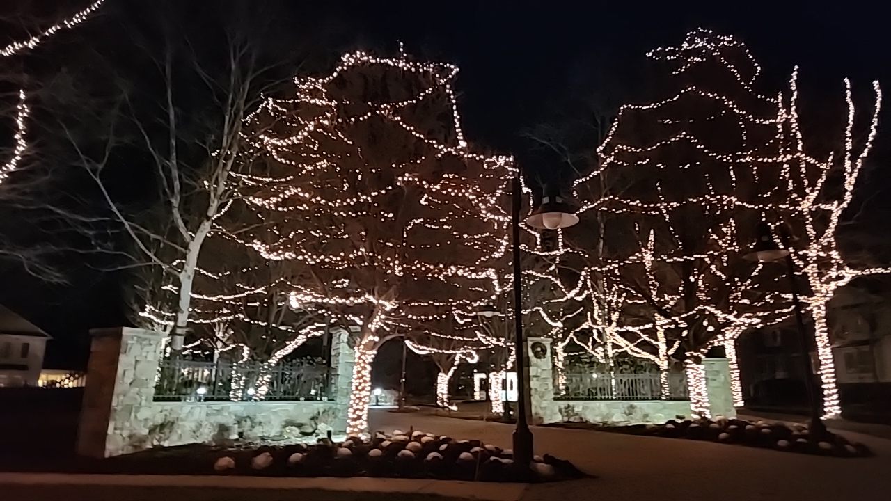 Tree garden...Magical, Christmas lights in Chester Springs, PA (photo 1)