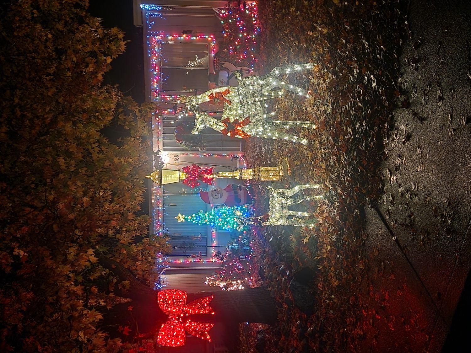 Andrews Family Christmas Display, Christmas lights in Ukiah, CA (photo 1)