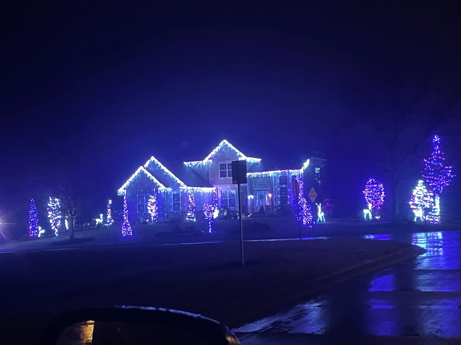 Purple Christmas Lights, Christmas lights in Spring Grove, IL (photo 1)
