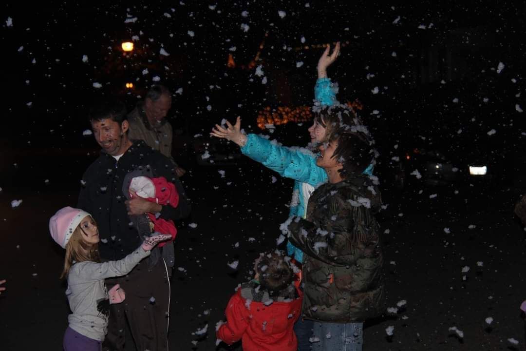Listen to the Lights!, Christmas lights in Elk Grove, CA (photo 2)