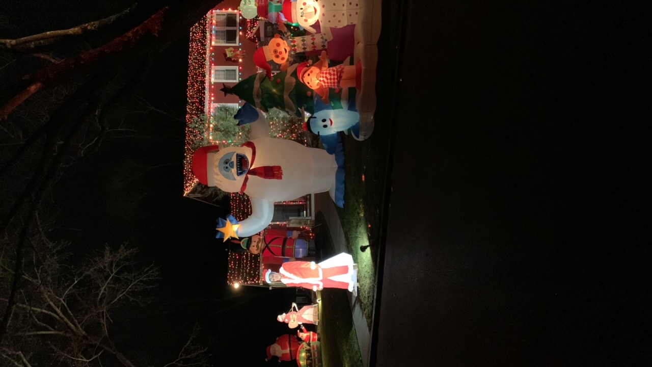 Elvis is in the building, Christmas lights in West Chester, PA (photo 1)