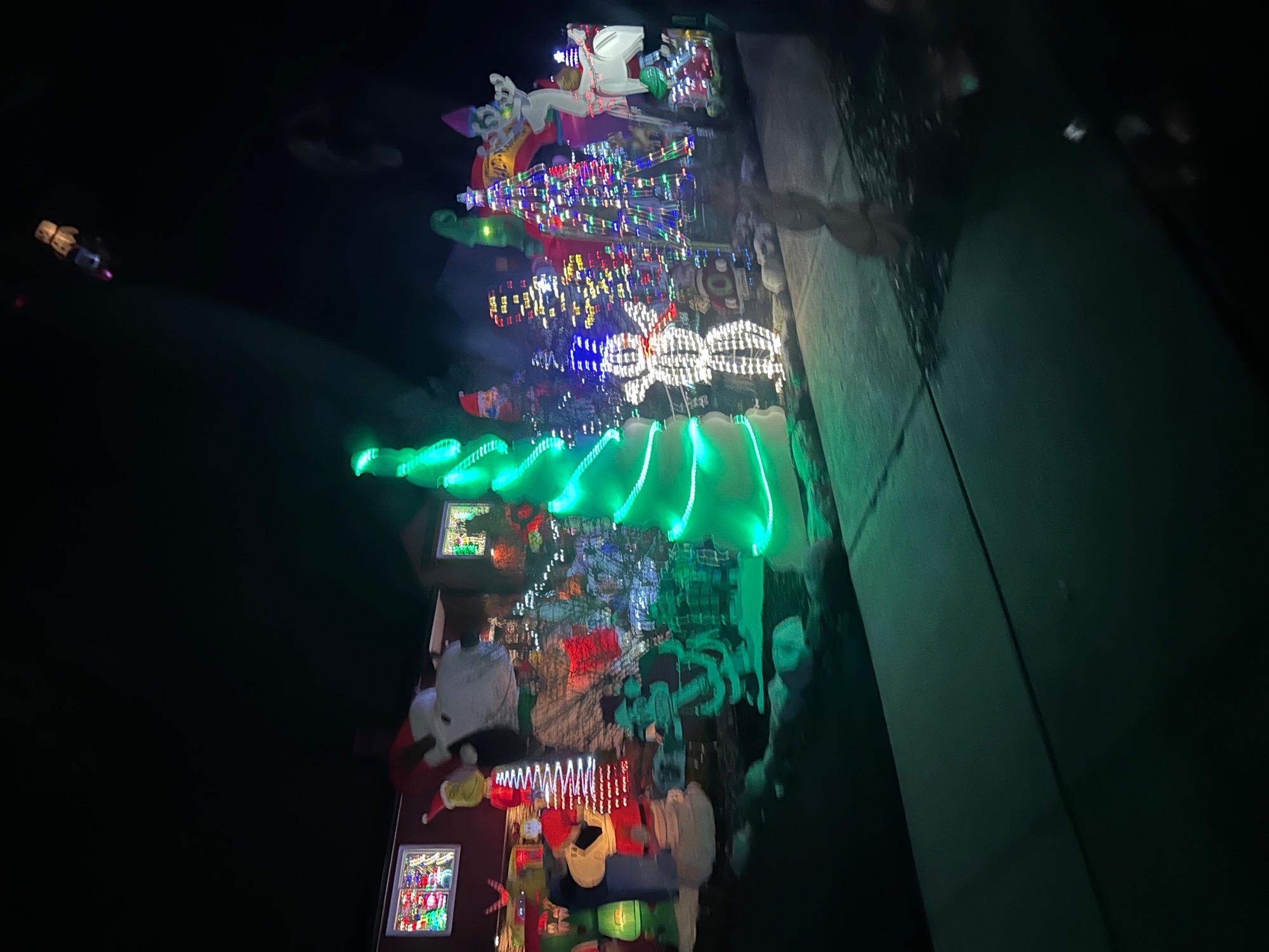 Grinch house, Christmas lights in Chalfont, PA (photo 1)