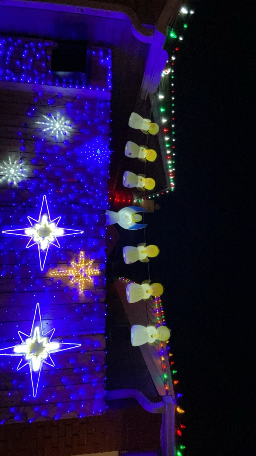 Murray Christmas, Christmas lights in Columbus, OH (photo 2)