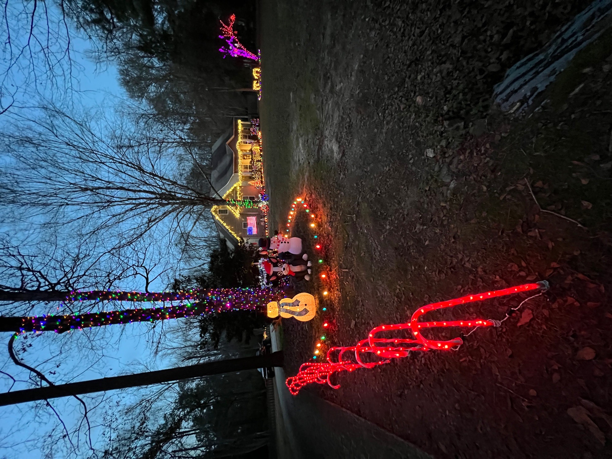Oxford Circle, Christmas lights in Perry, GA (photo 1)