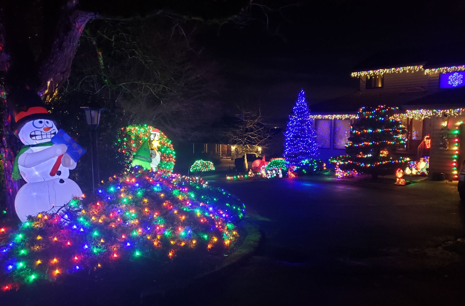 The Denham's Christmas lights drive-thur display, Christmas lights in Beaverton, OR (photo 1)