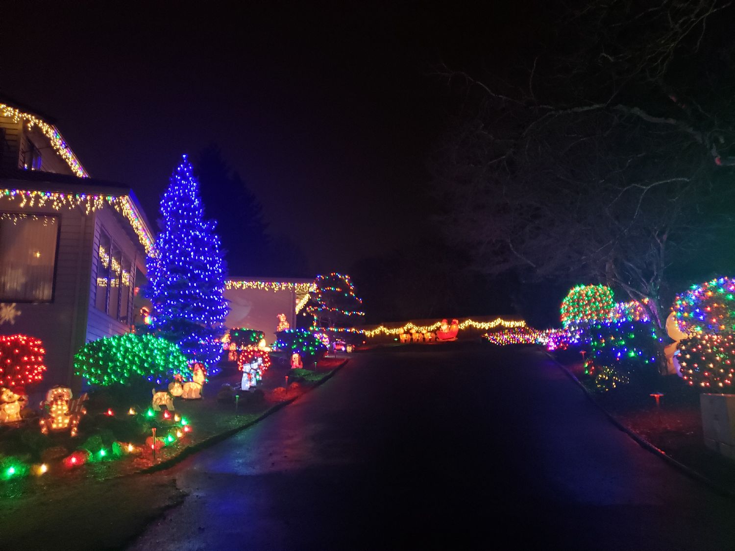The Denham's Christmas lights drive-thur display, Christmas lights in Beaverton, OR (photo 2)