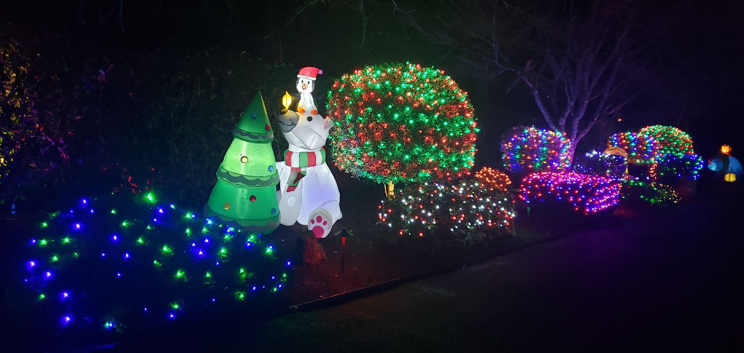 The Denham's Christmas lights drive-thur display, Christmas lights in Beaverton, OR (photo 4)