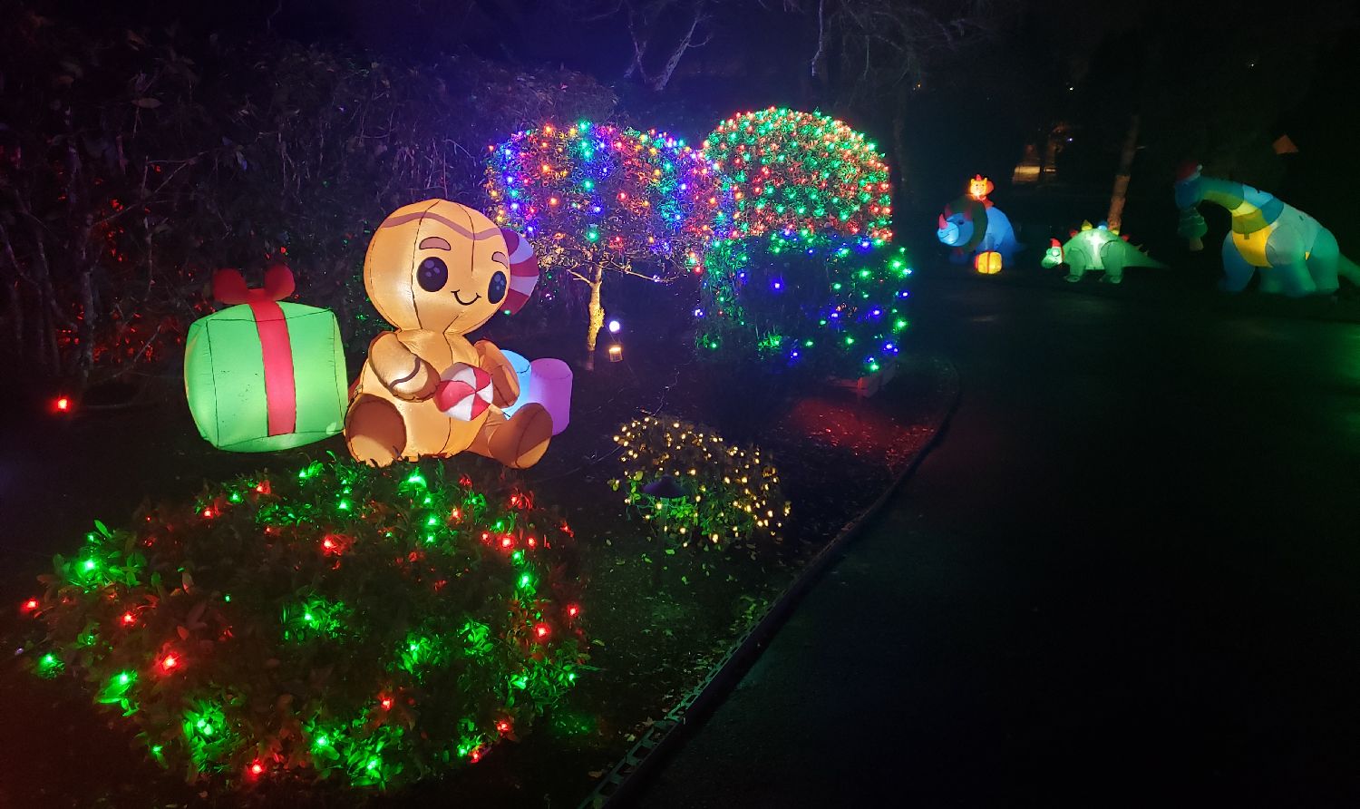 The Denham's Christmas lights drive-thur display, Christmas lights in Beaverton, OR (photo 5)
