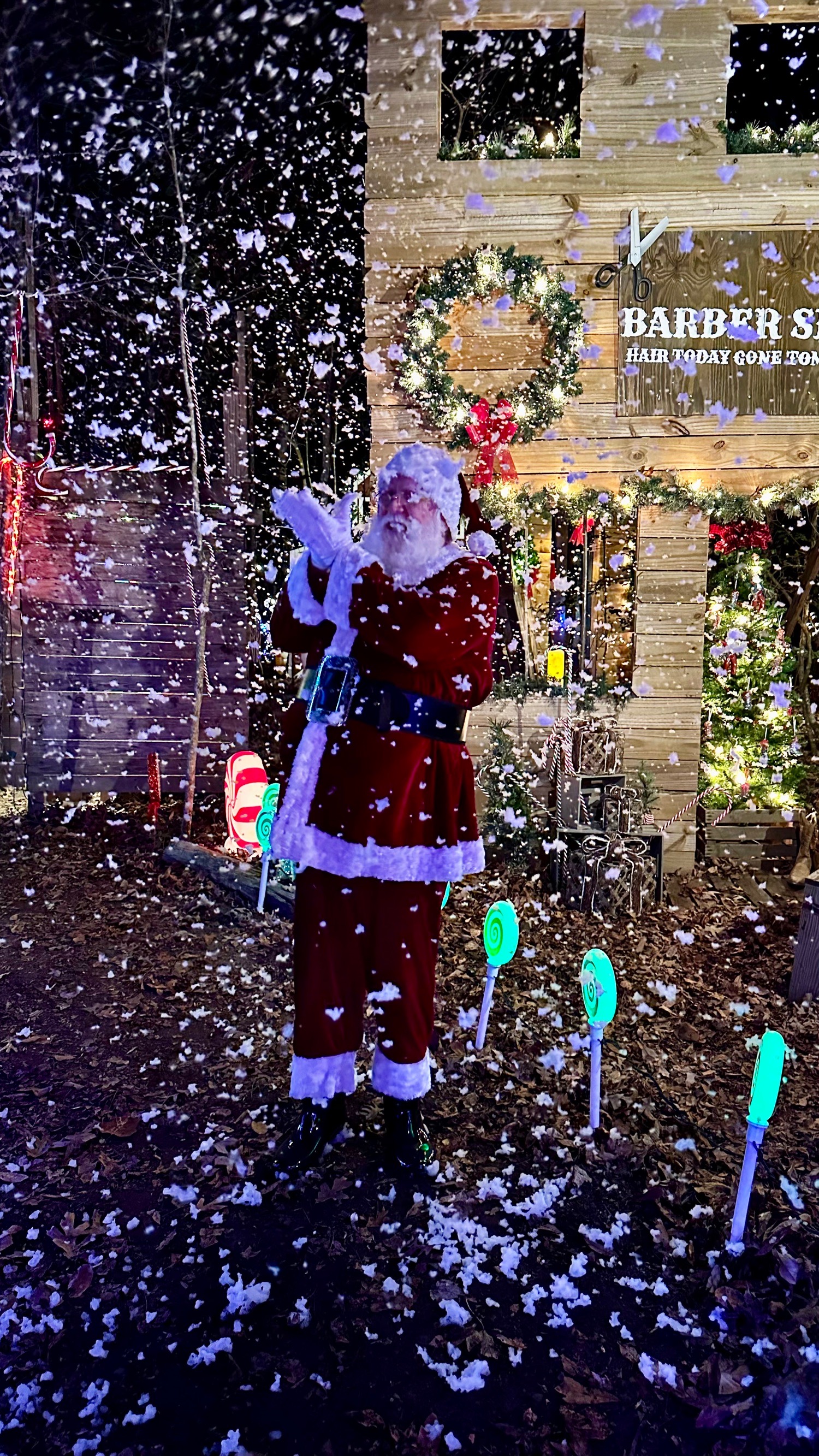 Josh’s Lights, Christmas lights in Willow Spring, NC (photo 1)