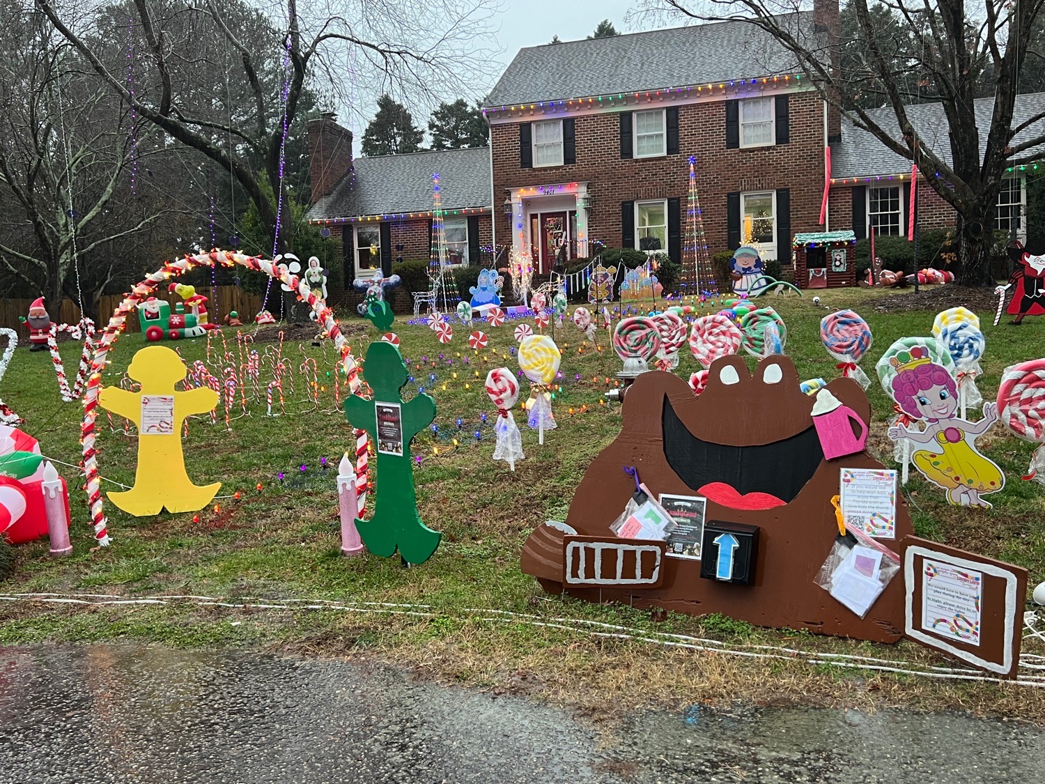 Candyland, Christmas lights in Raleigh, NC (photo 3)